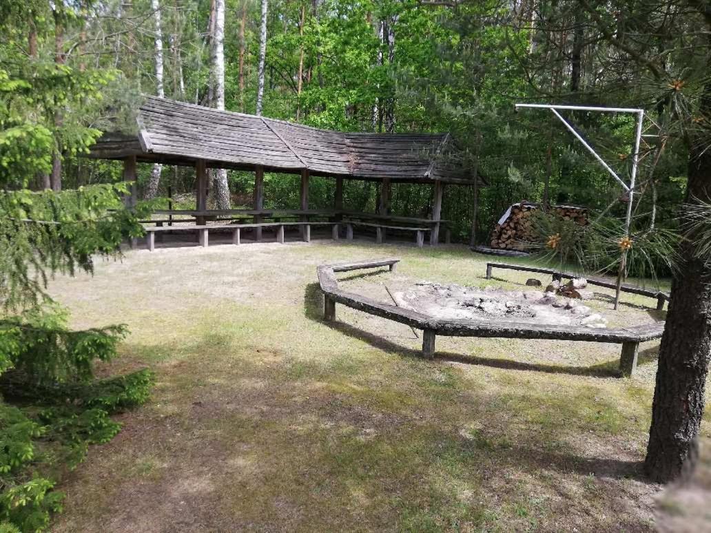 Agroturystyka "Lesne Zacisze Na Podlasiu" Tuczna 外观 照片