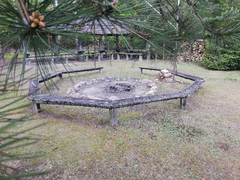 Agroturystyka "Lesne Zacisze Na Podlasiu" Tuczna 外观 照片