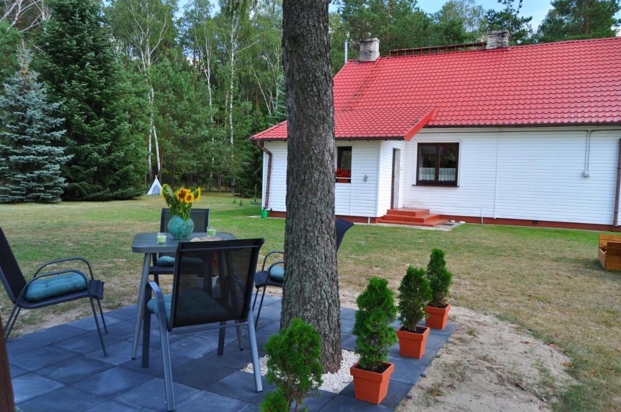 Agroturystyka "Lesne Zacisze Na Podlasiu" Tuczna 外观 照片