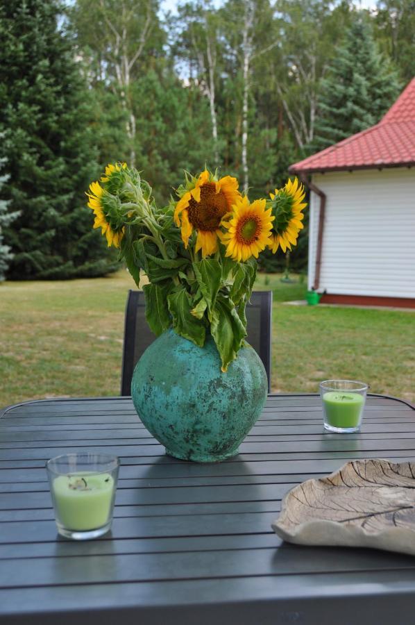 Agroturystyka "Lesne Zacisze Na Podlasiu" Tuczna 外观 照片